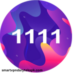 1.1.1.1 VPN APK