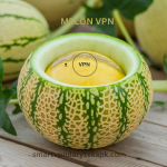 Melon VPN APK